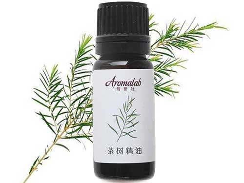 茶树精油的功效与作用
